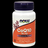 Coenzyme Q10 60 MG 60 Gélules NOW FOODS